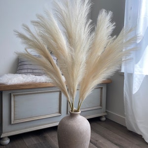 Peut inclure: Un bouquet de pampas séchées dans un vase en céramique beige. Le vase a une surface texturée et repose sur un sol en bois.