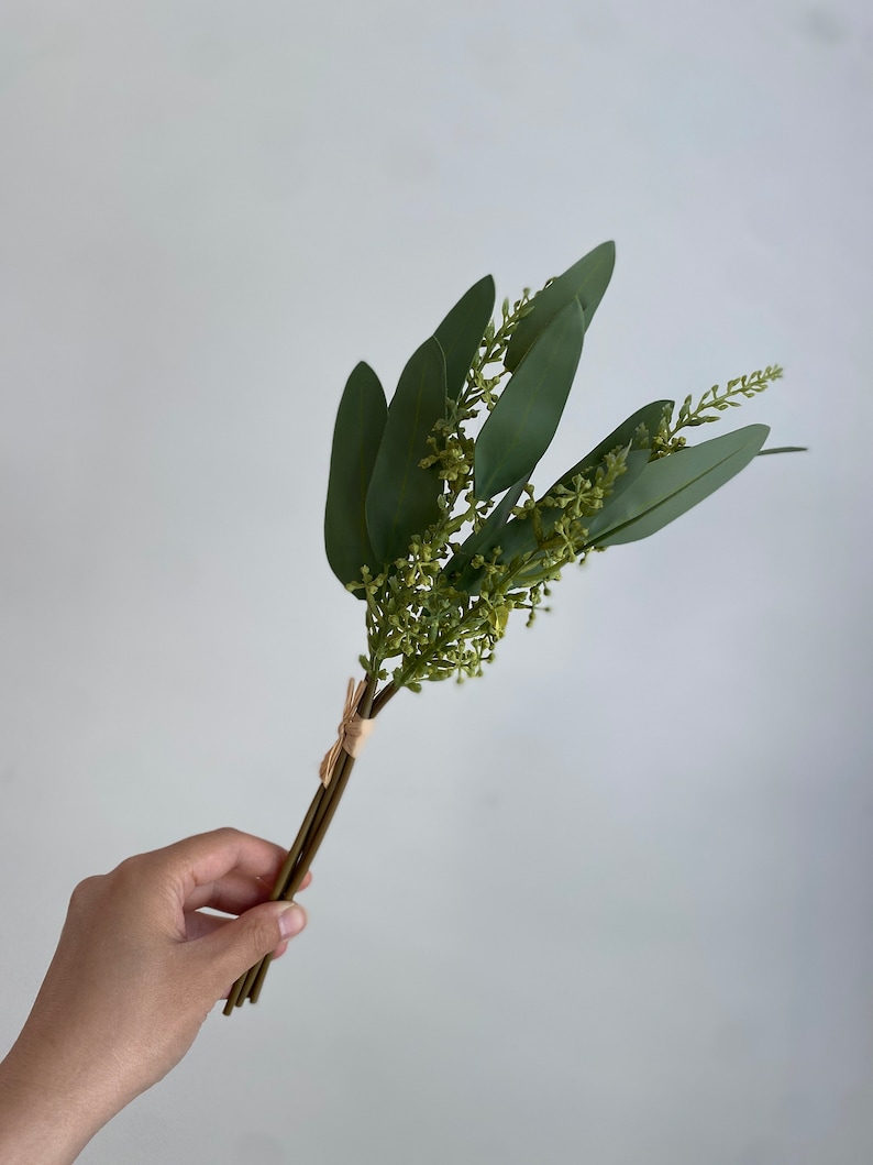 May include: A bunch of green eucalyptus stems with small green flowers tied together with twine.