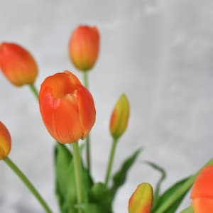 5 Stiele Real Touch Tulip Bouquet - Hochwertige künstliche Blume / Herzstück / DIY Blumen / Hochzeit / Hausdekoration / Geschenk / Orange