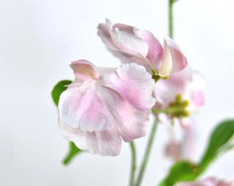 Faux Light Pink Sweet Pea Stem - Artificial Flower Spray / Wedding / Bouquet / DIY Floral / Event / Design / Home Decoration / Arrangement