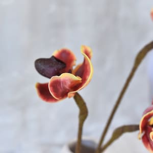 Real Touch Orange Slipper Orchid - Artificial Flower / Wedding / Bouquet / Floral Arrangement / Centerpieces / Home Decoration / Gifts / DIY