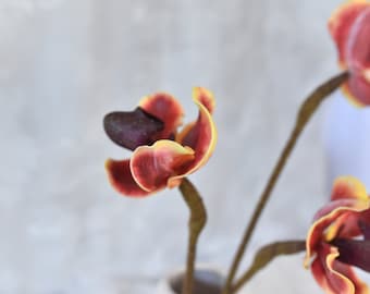 Può includere: Primo piano di un fiore di orchidea artificiale con petali bordeaux e gialli. Il fiore fa parte di un bouquet con steli marroni.