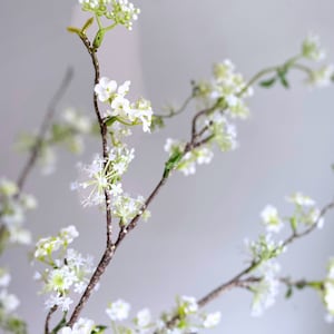 Faux Schnee Weidenzweig mit Knospen - Künstlicher Blumenstängel / DIY Blumen / Hochzeit / Hausdekoration / Geschenke / Weiß