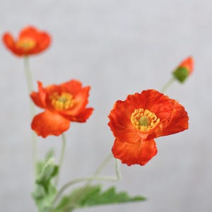 4 teste di papavero rosso arancione gambo - fiore artificiale di alta qualità / bouquet da sposa / disposizione / centrotavola / fai da te / decorazione della casa / regali