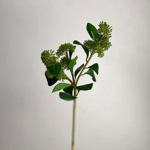 Tige de faux skimmia - Fleur artificielle de haute qualité / Fleurs à faire soi-même / Mariage / Décoration d&#39;intérieur / Cadeaux