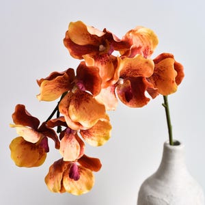 Real Touch 7 Heads Orange Phalaenopsis Orchid - High Quality Artificial Flower / Wedding / Bouquet / Event / Arrangement / Centerpiece /Home