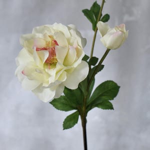 Faux Garden Rose Stem - High Quality Artificial Flower / Wedding / DIY / Floral / Home Decor / Gifts / Cream White