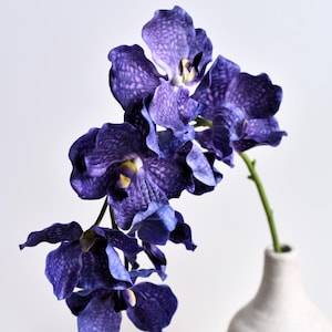 May include: A single stem of purple orchids with speckled petals in a white ceramic vase.