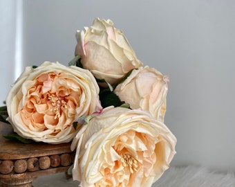 Real Touch Chamapgne English Rose - David Austin Rose / Wedding / DIY Floral / Home Decoration / High Quality Artificial Flower / Gifts