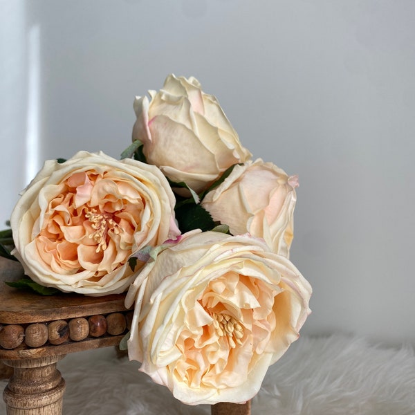 Real Touch English Rose - David Austin Rose / Wedding / DIY Floral / Home Decoration / High Quality Artificial Flower / Gifts / Champagne
