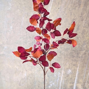 May include: An artificial stem featuring leaves in shades of red and orange. The leaves vary in size and shape, transitioning from deep red to bright orange. The stem is brown, and the backdrop is a neutral beige colour, suitable for autumnal decor.