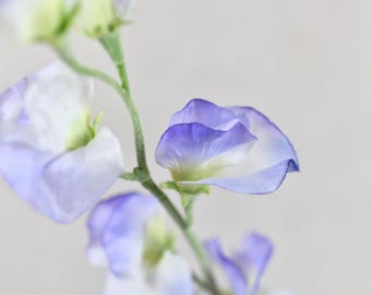 Tallo de flor de guisante de olor morado claro artificial - Flor artificial de alta calidad / Boda / Ramo / Bricolaje / Centros de mesa / Decoración del hogar / Regalos
