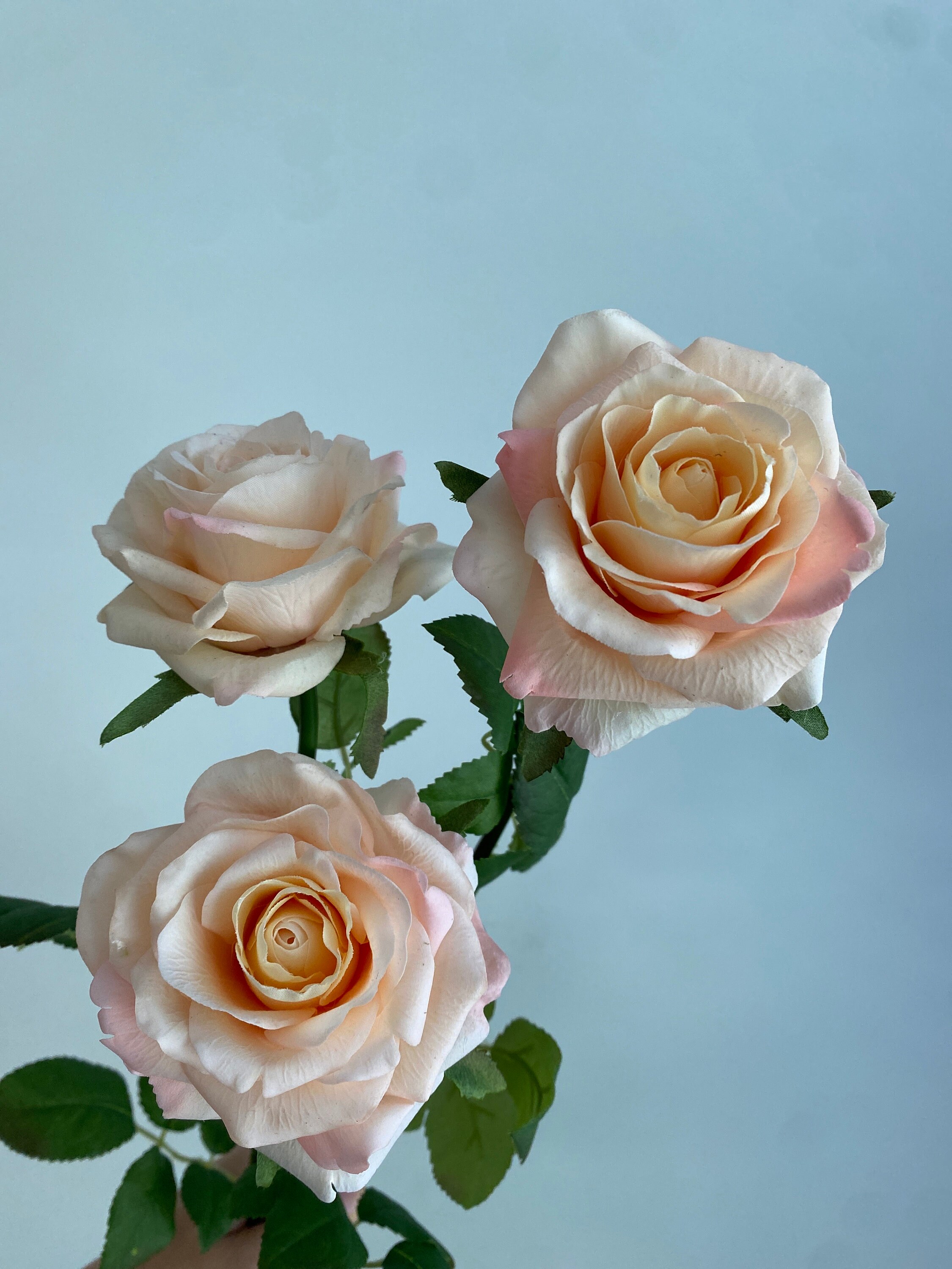 Real Touch Peachy Pink Rose - Hight Quality Artificial Flower / Wedding ...