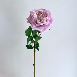 Real Touch Light Purple Cabbage Rose - David Austin Rose / High Quality Artificial Flower / DIY Floral / Wedding Decoration / Gifts