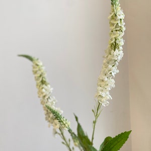 Veronica finta bianca color crema con gambo - Fiore artificiale / Matrimonio / Bouquet da sposa / Composizione fai da te / Centrotavola / Decorazione per la casa / Evento / Regali
