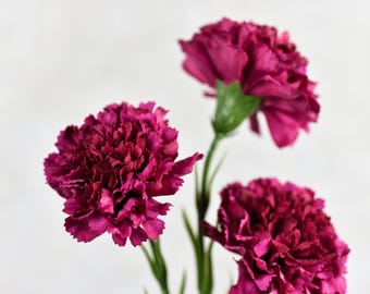 May include: Three pink carnations with ruffled petals, arranged in a bouquet.