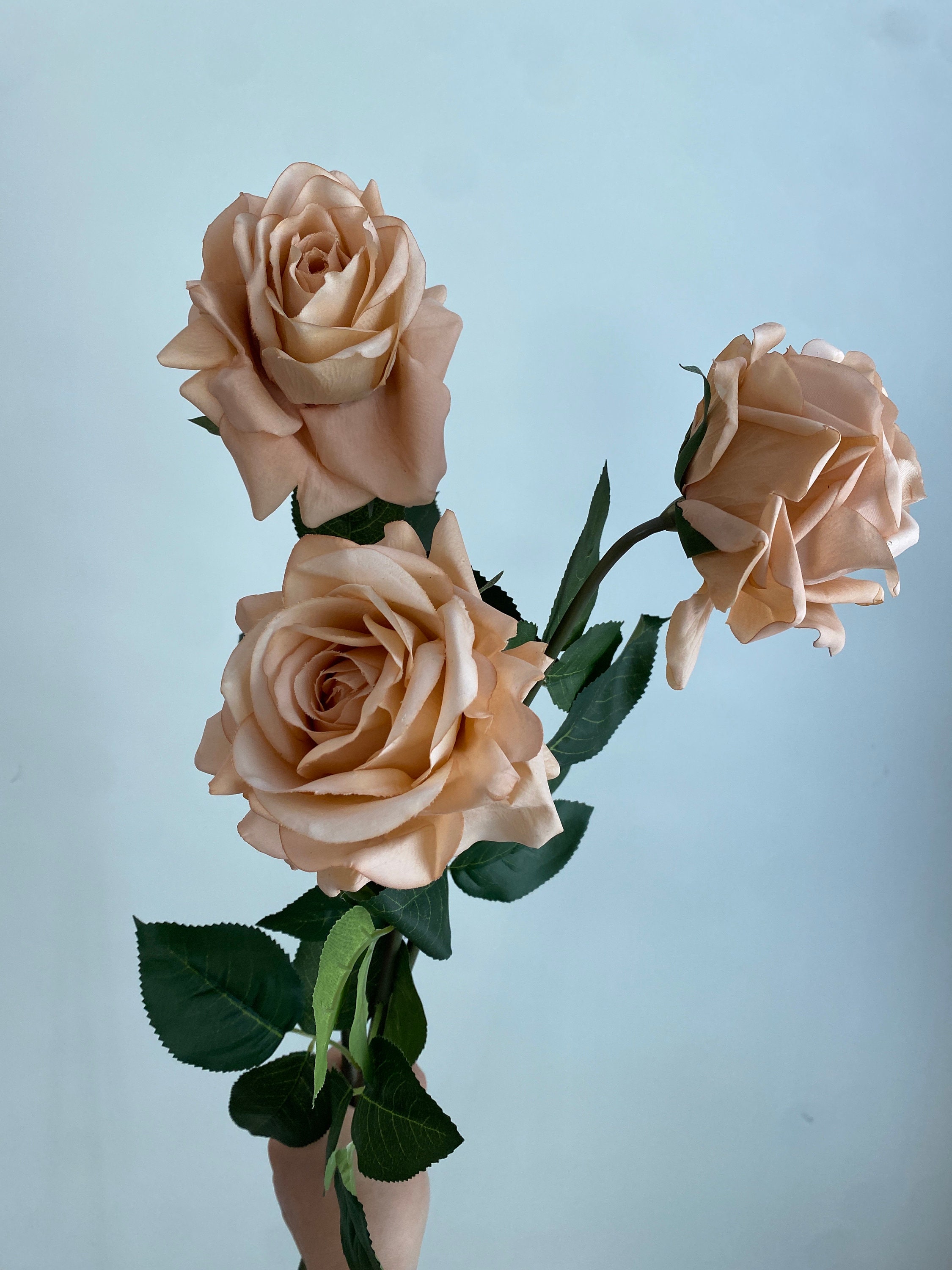 30 Artificial Real Touch Tan Toffee Rose / Wedding / Etsy Canada