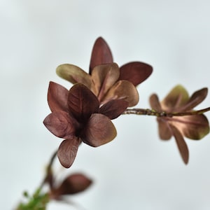 Puede incluir: Primer plano de una rama de flor artificial marrón con varias flores. Las flores tienen un diseño delicado de pétalos superpuestos.