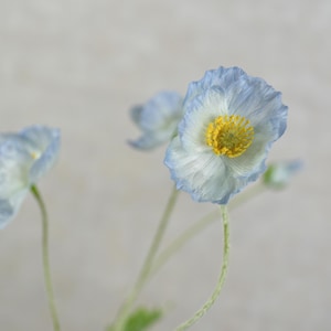 Tige de fleur de pavot bleu clair 4 têtes - Fleurs artificielles de haute qualité / Mariage / Bouquet / A faire soi-même / Décoration d'intérieur / Design d'intérieur / Cadeaux