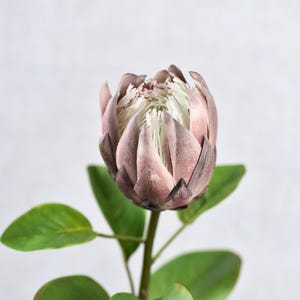 Artificial Brown King Protea Stem - High Quality Faux Flower / Wedding / DIY Bouquet / Arrangement / Centerpiece / Home Decor / Gifts / DIY