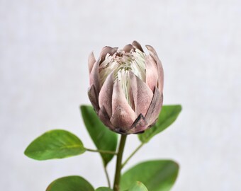 Tallo artificial de protea real marrón - Flor artificial de alta calidad / Boda / Ramo / Arreglo / Centro de mesa / Decoración del hogar / Regalos / Hazlo tú mismo
