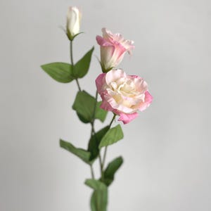 Real Touch Lisianthus Stem - High Quality Artificial Flower / Wedding / DIY Floral / Home Decorations / Gifts / Light Pink / Cream White