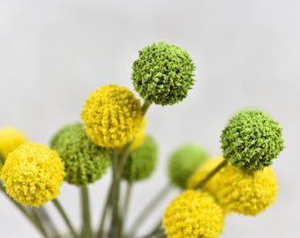 May include: A bouquet of yellow and green artificial flowers with round, fuzzy blooms. The flowers are arranged in a vase and are ready to add a touch of color to any room.