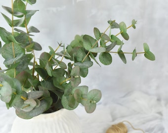 May include: A bunch of eucalyptus stems with green leaves in a white ceramic vase. The vase has a textured surface.