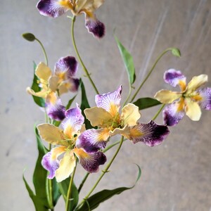 May include: A stem of artificial iris flowers featuring pale yellow petals with deep purple, veined accents and bright yellow centers. The plant includes several blooming flowers, closed buds, and long, slender green leaves on thin, flexible stems.