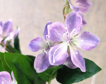 May include: Close-up of a sprig of artificial flowers with large, lavender-colored petals and white stamens. The flowers have a delicate, veined appearance. Dark green leaves provide a contrasting backdrop. The background is a soft, neutral tone.