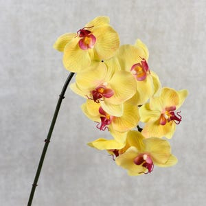 Real Touch 8 Heads Yellow Phalaenopsis Orchid Stem - High Quality Artificial Flower / Wedding / Bouquet / Event / Arrangement / Centerpieces