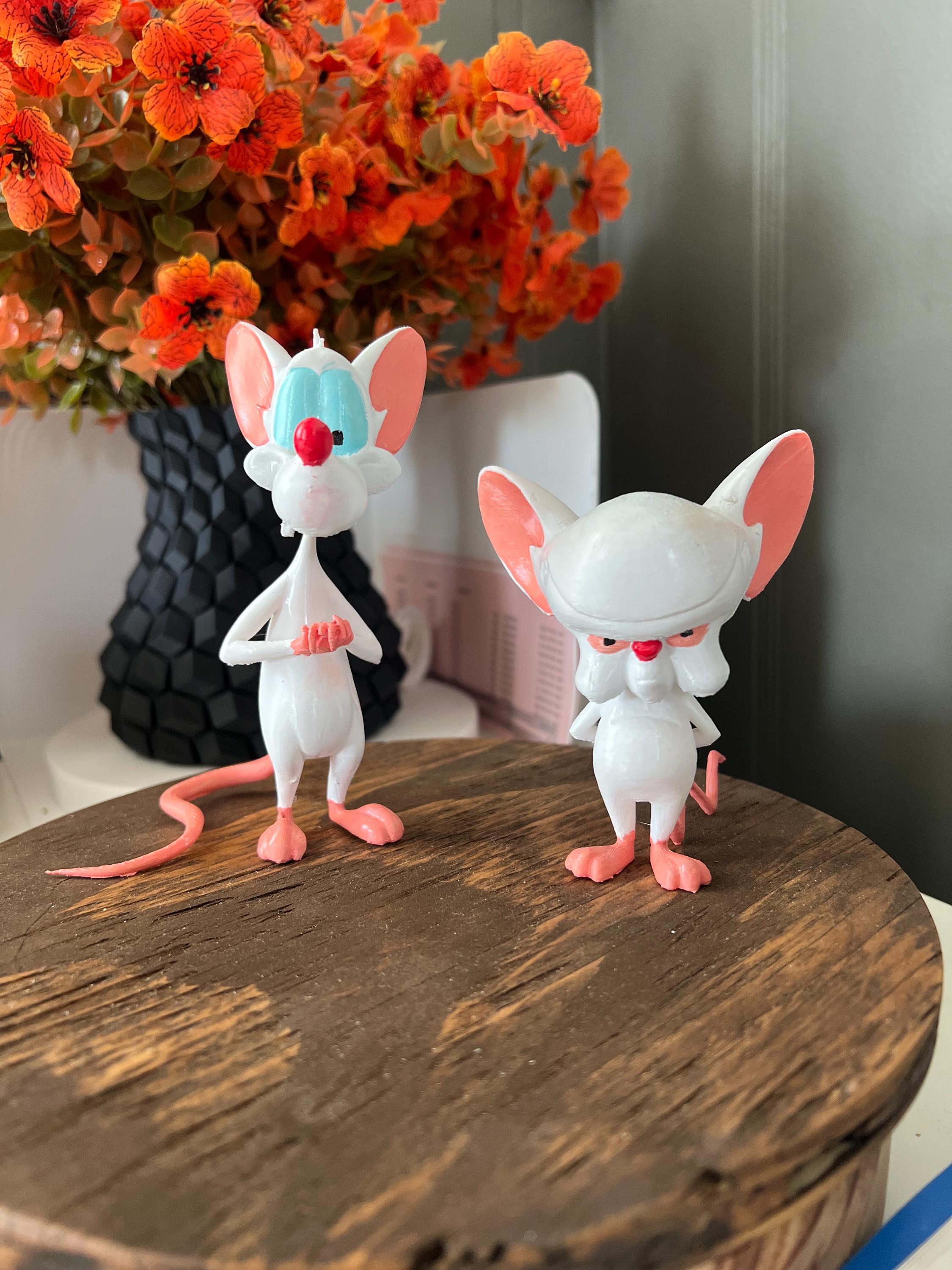 PINKY AND THE BRAIN ピンキー&ザブレイン Pinky and the Brain | Collectable | Cartoon Character | Childhood