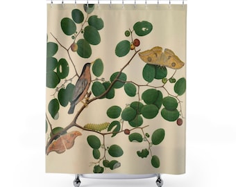 Nature Shower Curtain, Botanical Shower Curtain, Bird Shower Curtain, Moth Shower Curtain, Unique Trendy Bathroom Home Decor