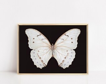Butterfly Moth Print I Dark Moody, Winged Insect, Cottagecore Wall Art I Digital Download