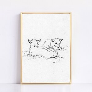 May include: A black and white line drawing of two lambs lying down in a field of grass.