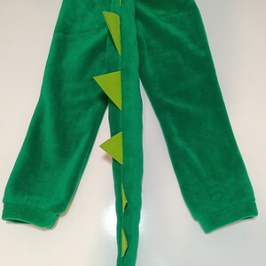 May include: Green fleece pants with a green felt dinosaur tail attached to the back. The tail has five green felt spikes.