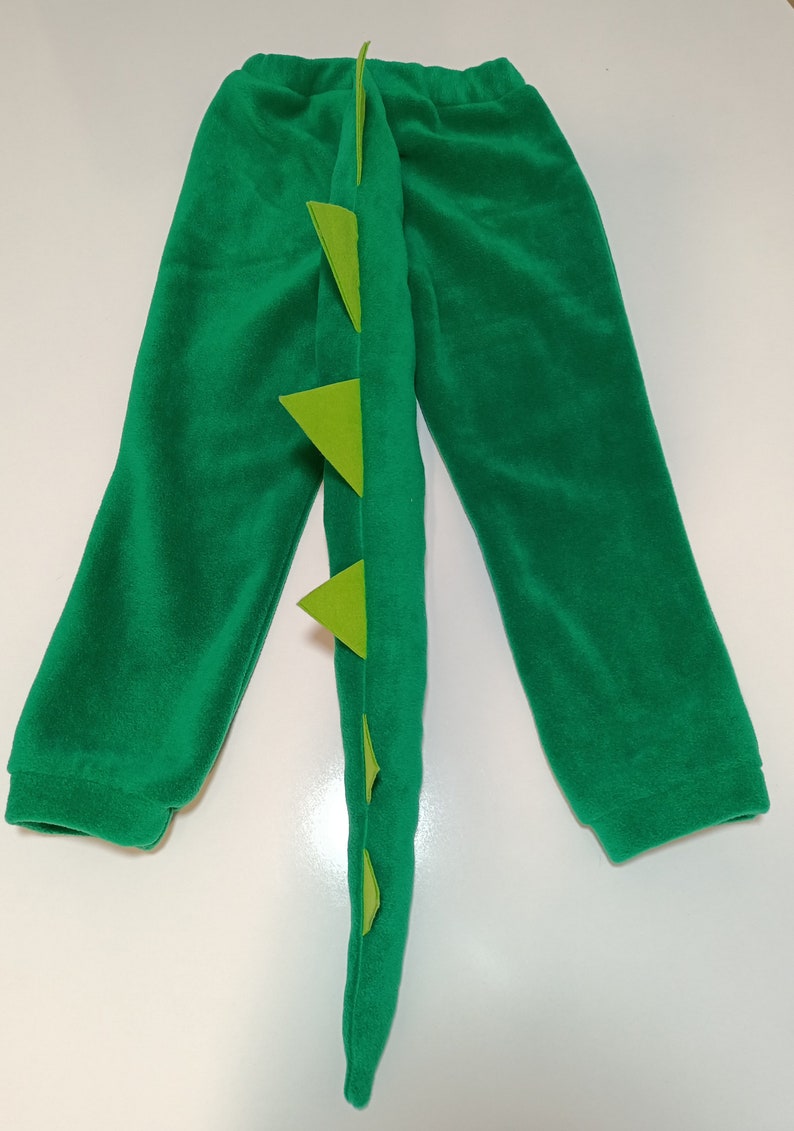 May include: Green fleece pants with a green felt dinosaur tail attached to the back. The tail has five green felt spikes.