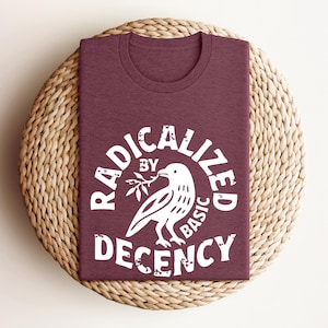 Radicalized By Basic Decency Shirt - Political Graphic Tee