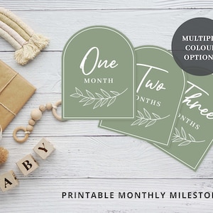 Cartes d'étape mensuelles imprimables, mois 1-12, photos mensuelles de bébé, 4 couleurs, Boho, nouveau cadeau de bébé, cadeau de naissance, téléchargement immédiat