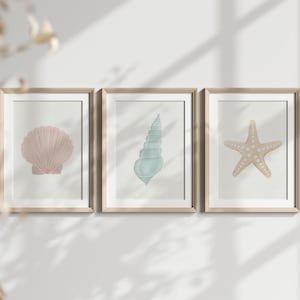May include: Three framed prints with illustrations of seashells. The first print features a pink seashell, the second print features a blue seashell, and the third print features a brown starfish.