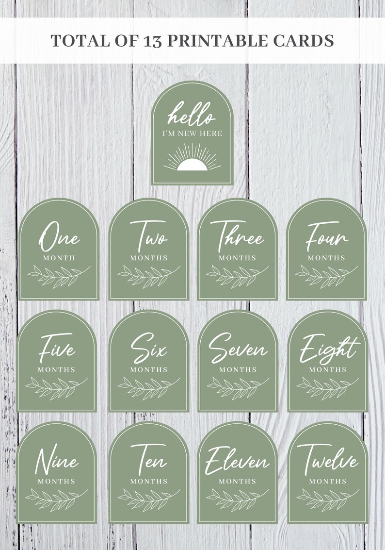 Month Cards Printable Monthly Milestone Cards, Months 1-12, Baby Monthly Photos, 4 ...