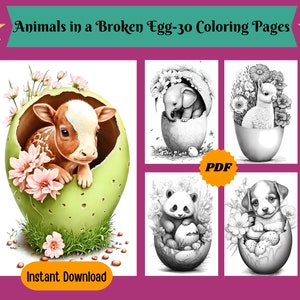 Può includere: Un set di 30 pagine da colorare con adorabili animali, come un vitello, un elefante, un lama, un panda e un cucciolo, ognuno che spunta da un guscio d'uovo rotto. Le pagine da colorare sono in bianco e nero e sono perfette per bambini di tutte le età.