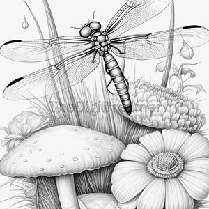 May include: A black and white drawing of a dragonfly perched on a flower with a mushroom and other flowers in the background.