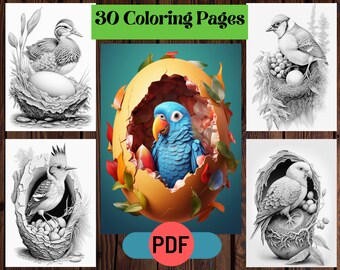 May include: A collection of 30 coloring pages featuring various birds and eggs. The pages include detailed illustrations of a duckling in a nest, a blue parrot emerging from an egg, and other bird species. The PDF format is indicated.