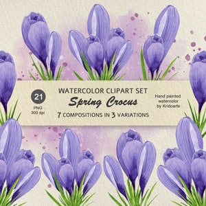 Ensemble de clipart floral aquarelle fleur de printemps crocus violet peint à la main aquarelle bouquet de printemps carte postale invitation décoration de Pâques png