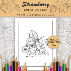 Strawberry Coloring Page: Hand-Drawn Botanical Line Art Illustration (Digital Download)