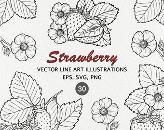 Strawberry Clipart Set Botanical Line Art Illustration Vector Strawberry Clipart Bundle Strawberry Flowers Leaves Instant Download SVG PNG