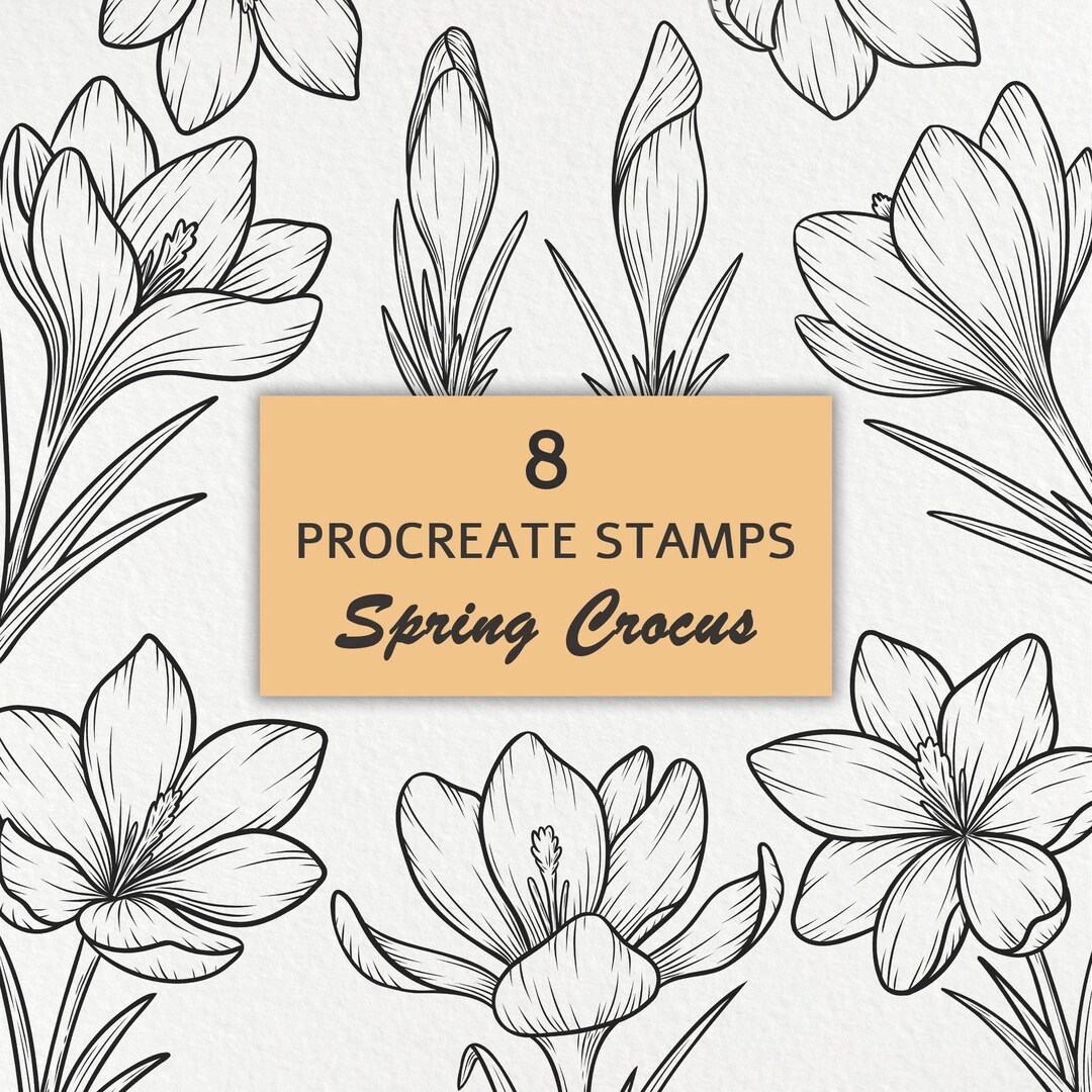 Crocus Flower Procreate Stamps: Hand Drawn Floral Brushes Bundle ...