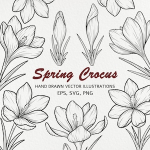 Floral Line Art Clipart Crocus Flower Botanical Line Art Clipart Fleurs vectorielles dessinées à la main Bouquets de printemps pour cartes postales Invitations SVG PNG