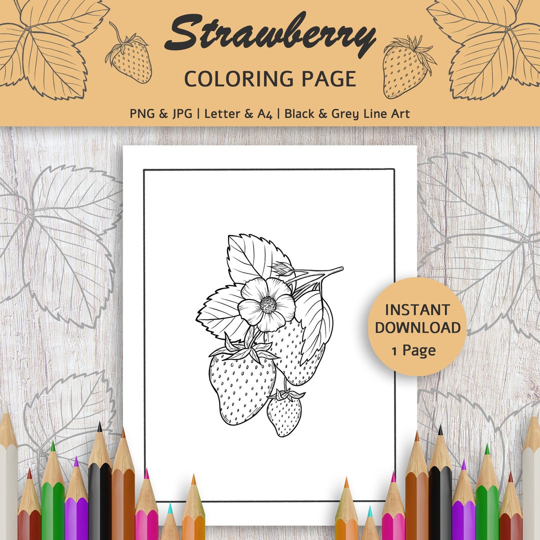 Strawberry Printable Coloring Page for Adults and Kids N1 - Digital ...